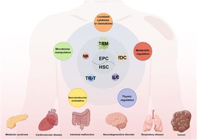 Editorial: Tissue-resident immune cells in tumor immunity and immunotherapy